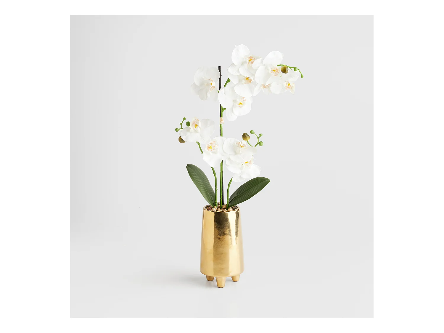 Composition Décorative Orchesso Blanc Moyen 57x17x34