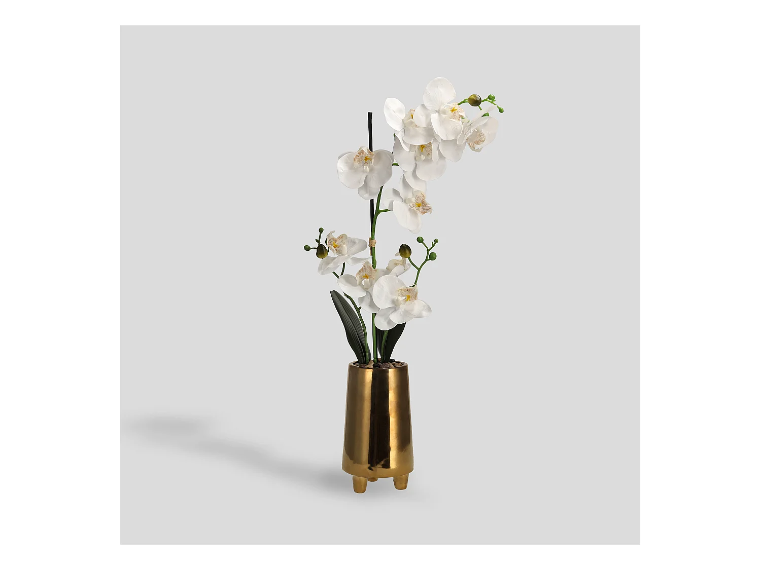 Composition Décorative Orchesso Blanc Moyen 57x17x34