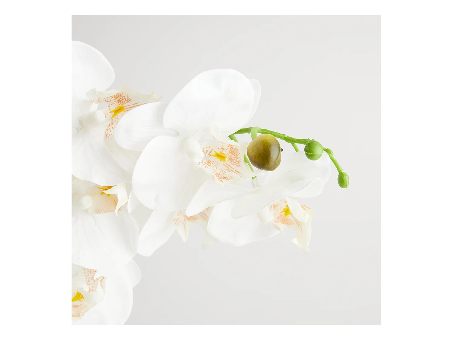 Composition Décorative Orchesso Blanc Moyen 57x17x34