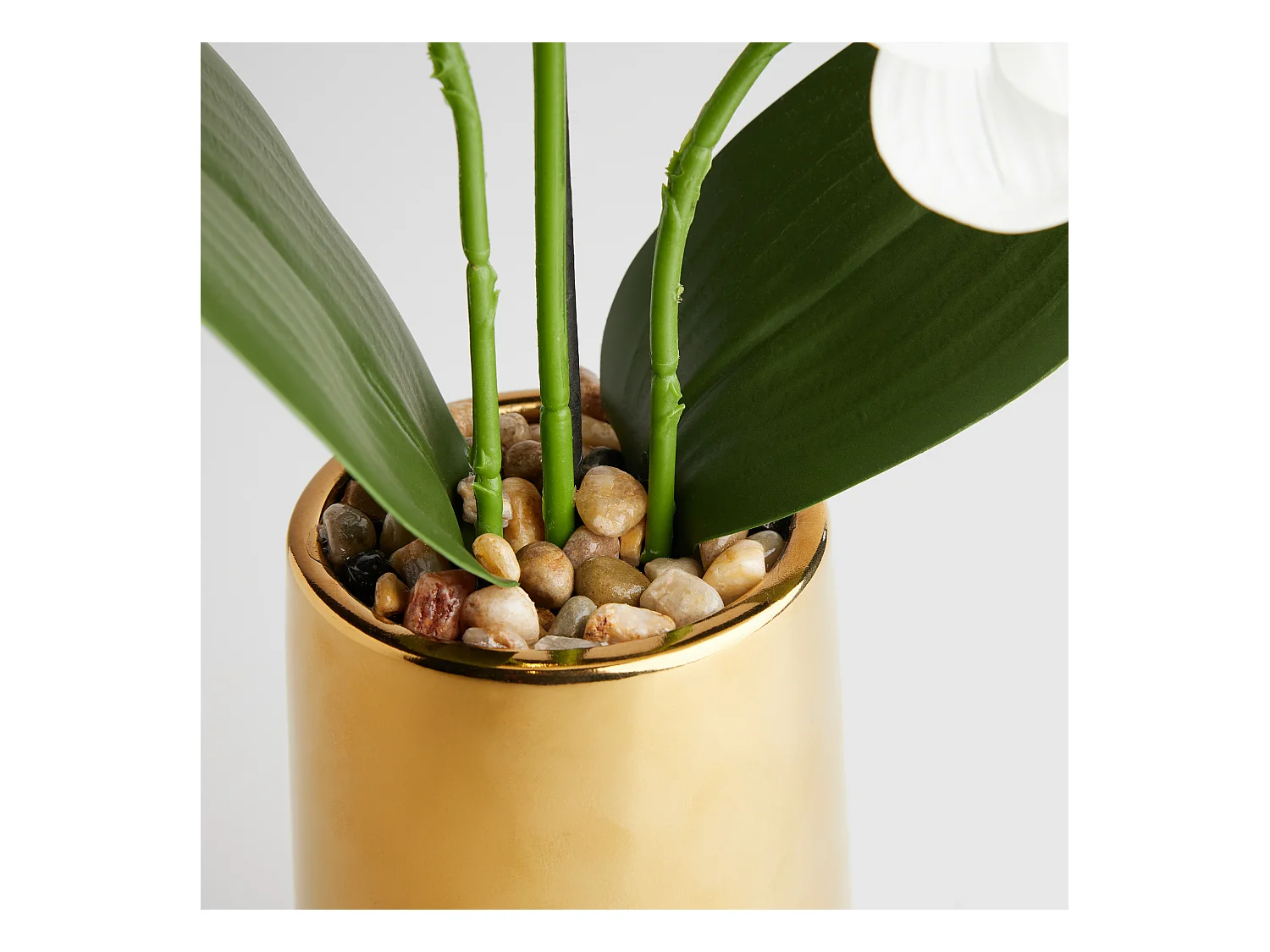 Composition Décorative Orchesso Blanc Moyen 57x17x34