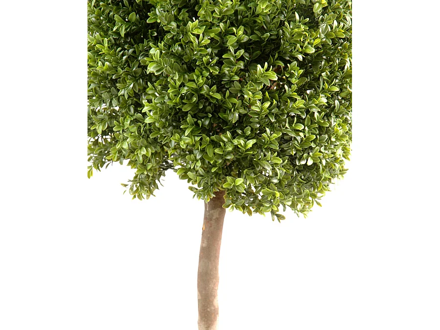 Plante artificielle haute gamme Spécial extérieur / Buis boule coloris vert - Dim : H.110 x D.45 cm