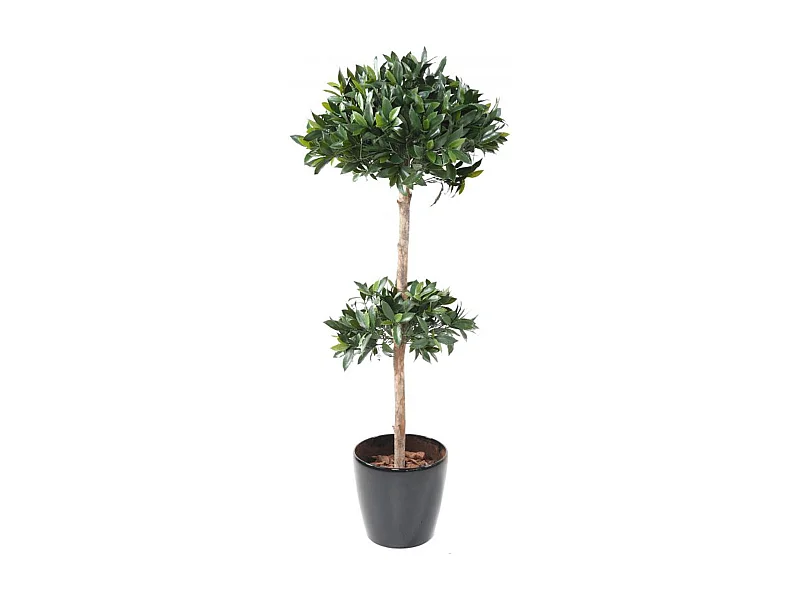 Plante Artificielle / Laurier Tige Double - Dim : 170 x 70 cm