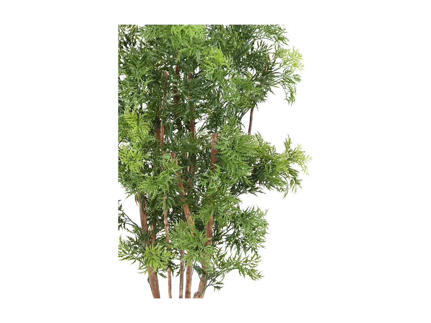 Plante artificielle haute gamme Spécial extérieur Aralia, coloris vert - Dim : 165 x 80 cm