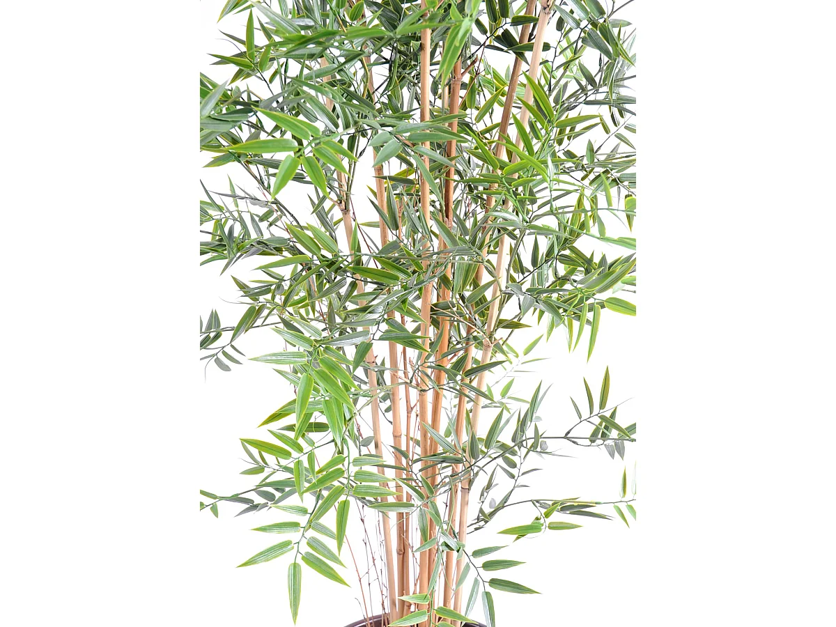 Plante artificielle haute gamme Spécial extérieur en Bambou artificiel, couleur verte - Dim : 180 x 85 cm