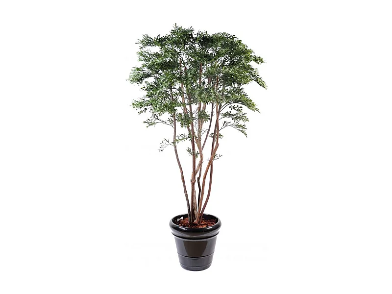 Plante artificielle haute gamme Spécial extérieur / Saule Américain - Dim : 175 x 100 cm