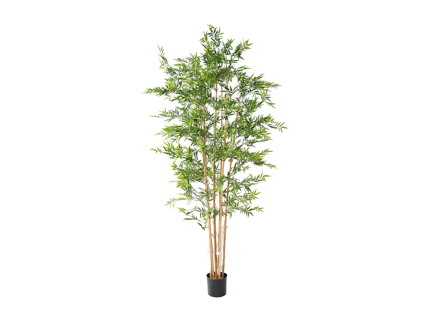 Plante artificielle haute gamme Spécial extérieur en Bambou artificiel, couleur verte - Dim : 240 x 110 cm