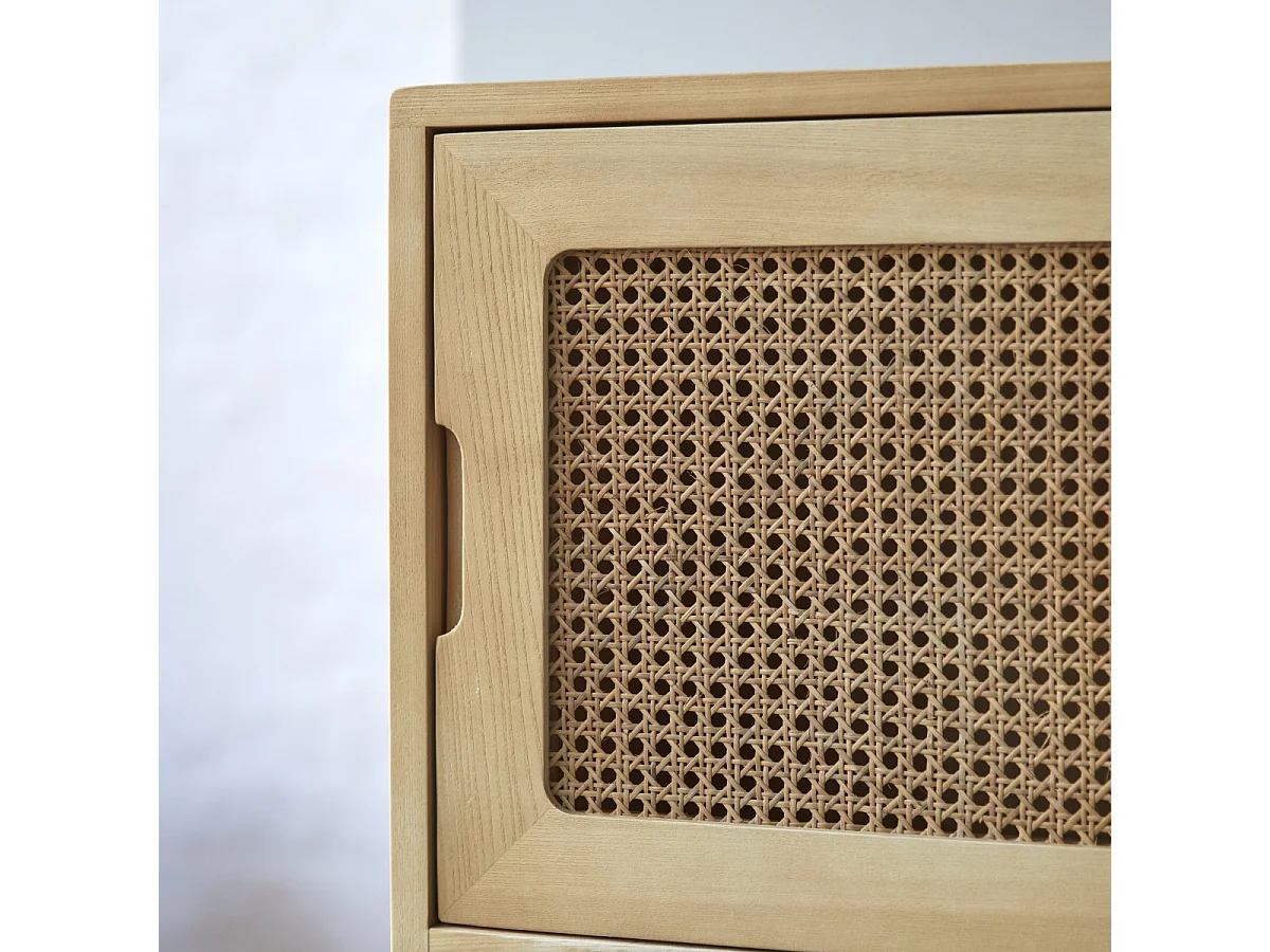 Hoher Bücherschrank Luis aus Ulmenholz und Rattangeflecht