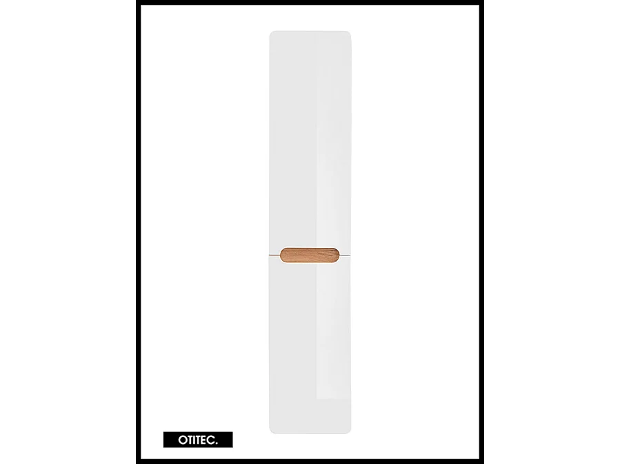Colonne de salle de bain de 170 cm - Blanc - 2 portes - PASTI WHITE