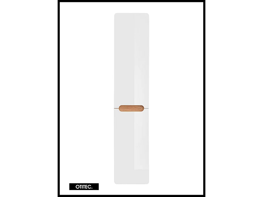 Colonne de salle de bain de 170 cm - Blanc - 2 portes - PASTI WHITE