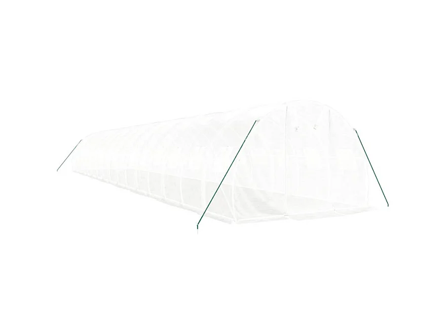 Serre avec cadre en acier blanc 48 m² 16x3x2 m