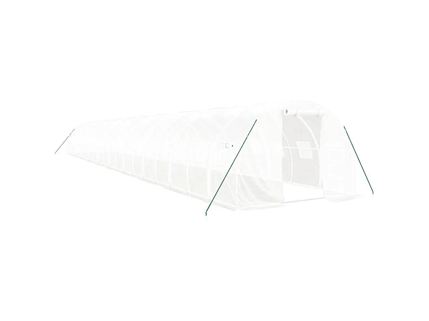Serre avec cadre en acier blanc 60 m² 20x3x2 m