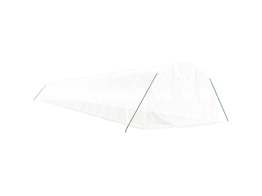 Serre avec cadre en acier blanc 60 m² 20x3x2 m