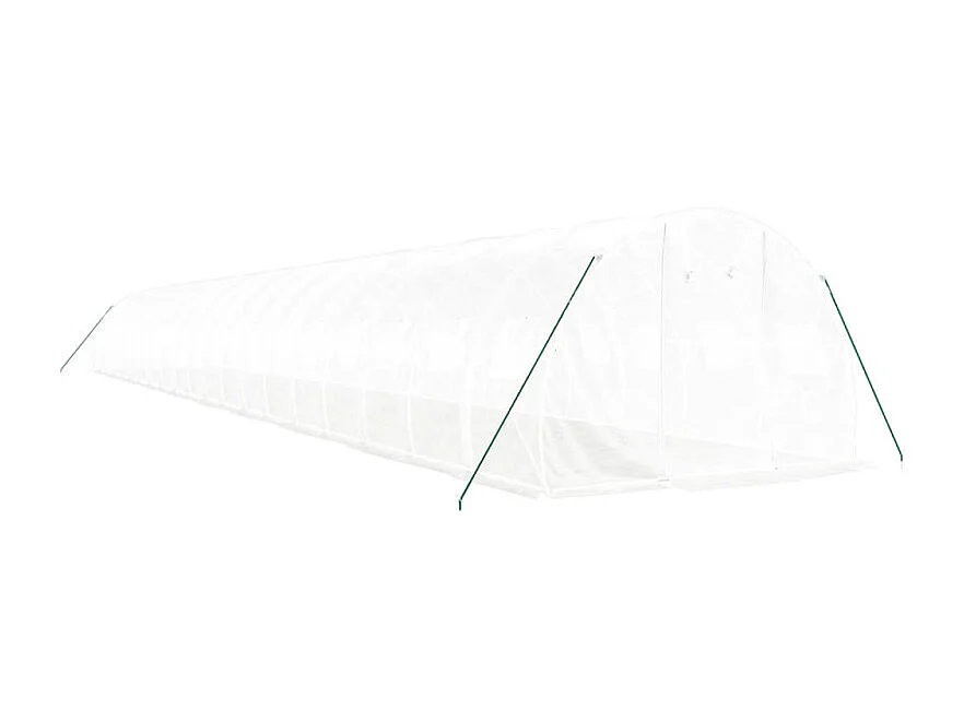 Serre avec cadre en acier blanc 60 m² 20x3x2 m