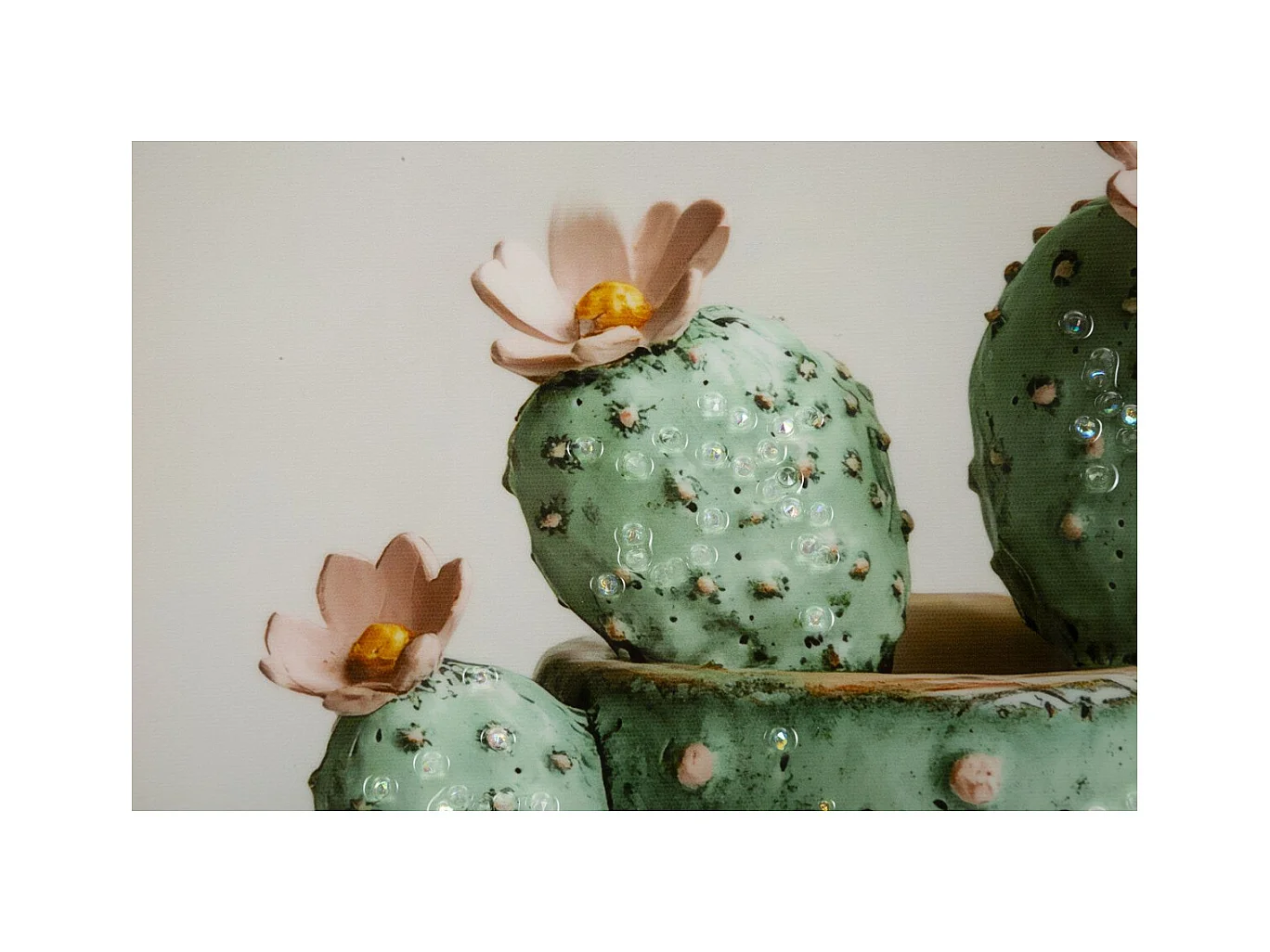 Impression sur Toile avec Cadre Cactus 4, Multicouleur, 40x2,8x40 cm, Seven Design