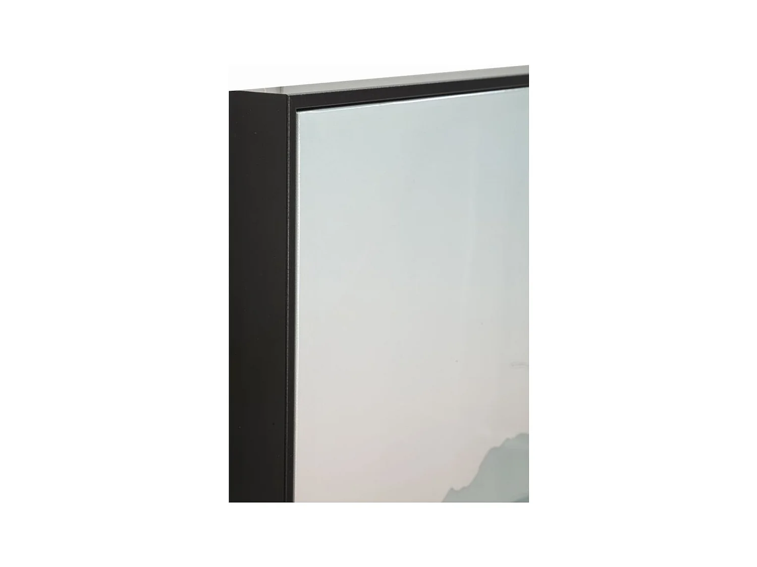 Impression sur Toile avec Cadre Cactus 1, Multicouleur, 60x4x90 cm, Seven Design