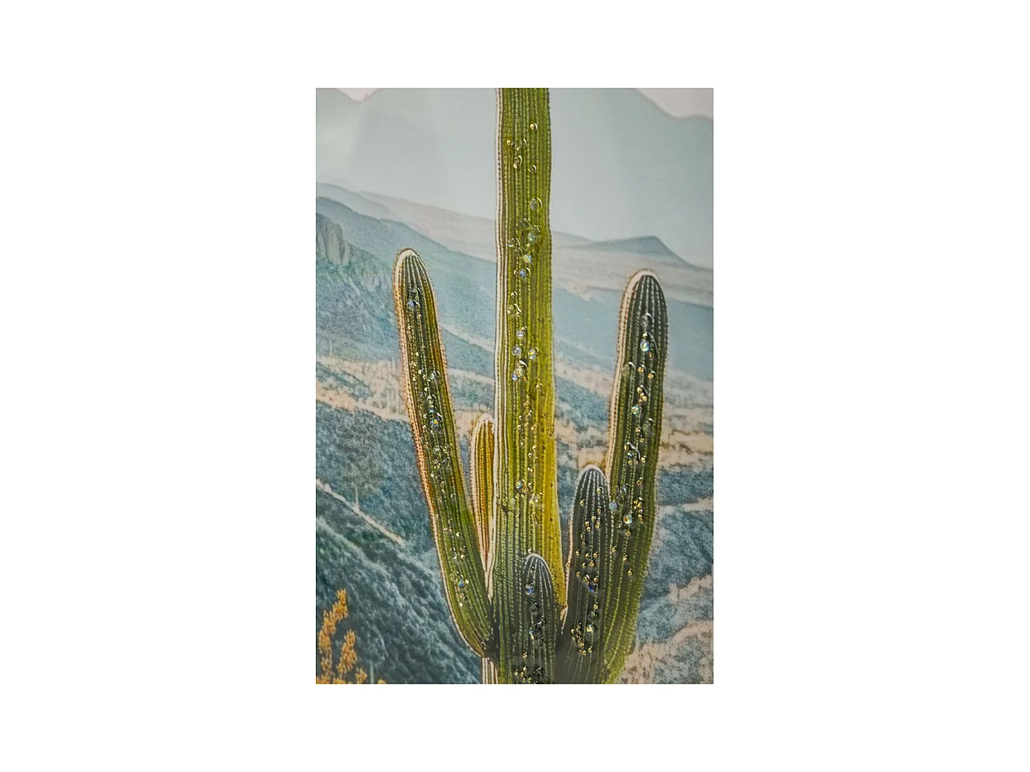 Impression sur Toile avec Cadre Cactus 1, Multicouleur, 60x4x90 cm, Seven Design