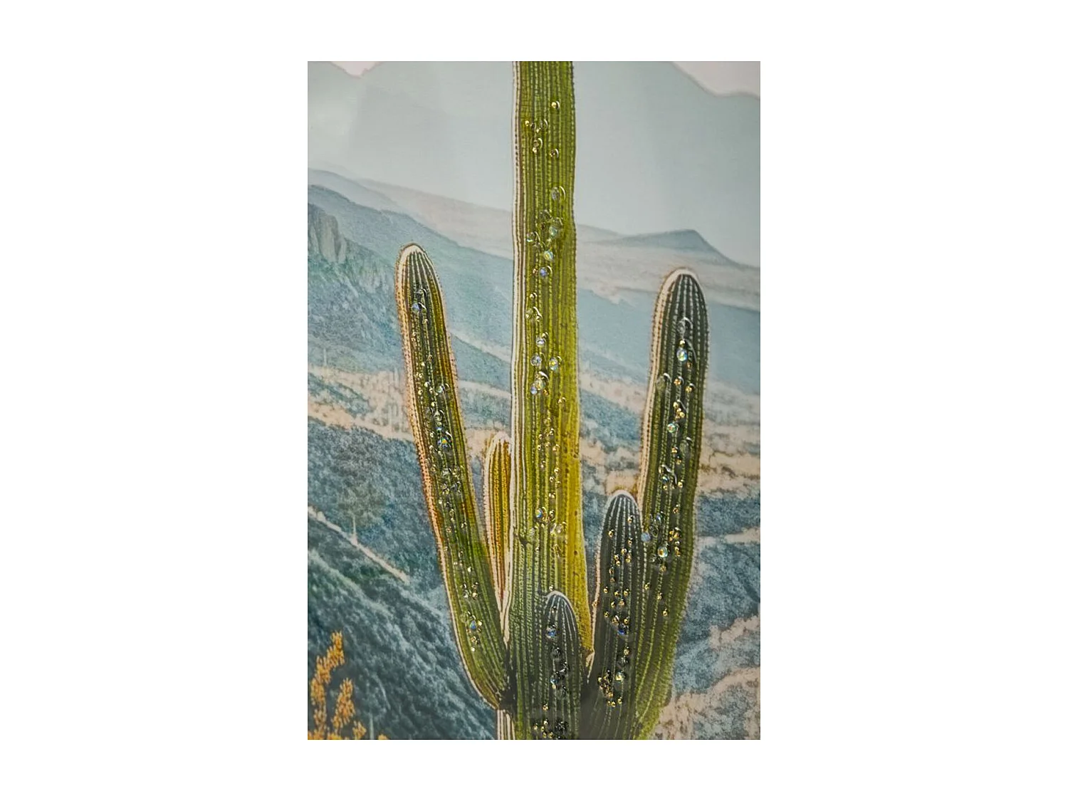 Wydruk na Płótnie z Ramą Kaktus 1, Wielokolorowy, 60x4x90 cm, Seven Design