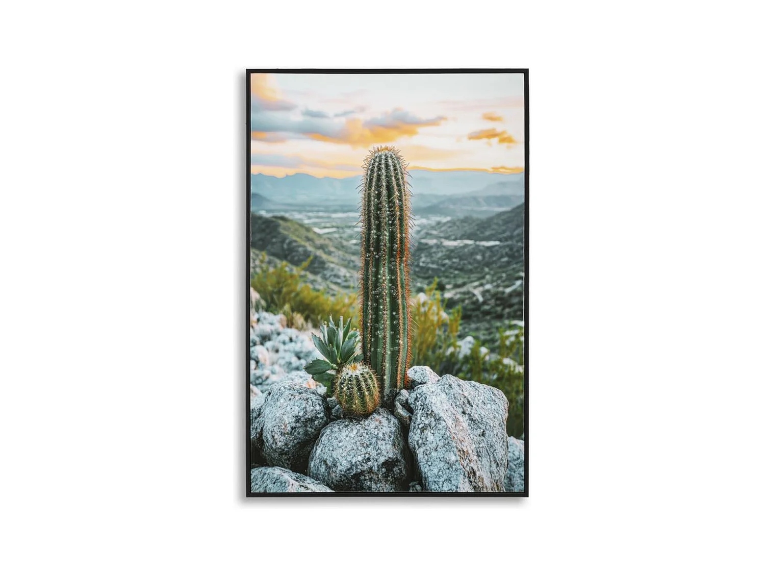 Impression sur Toile avec Cadre Cactus, Multicouleur, 60x4x90 cm, Seven Design