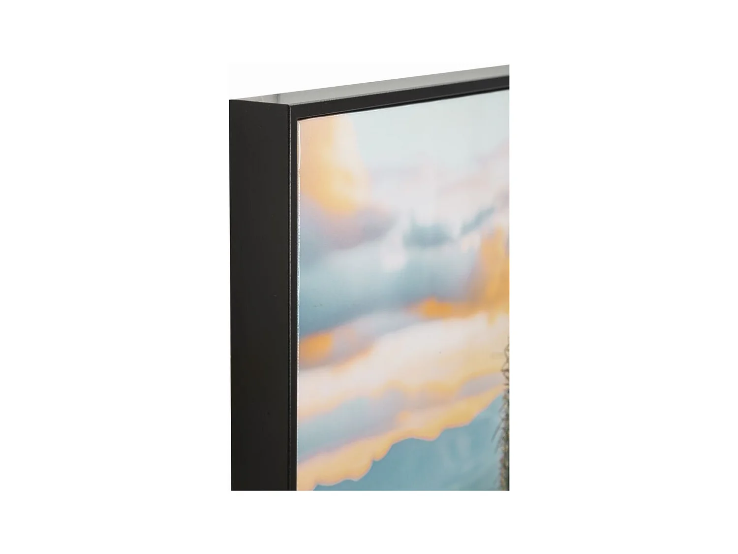 Impression sur Toile avec Cadre Cactus, Multicouleur, 60x4x90 cm, Seven Design