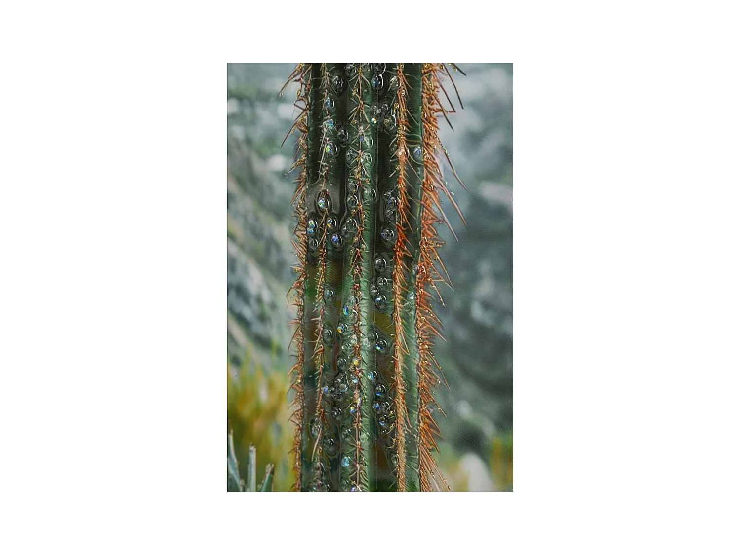 Impression sur Toile avec Cadre Cactus, Multicouleur, 60x4x90 cm, Seven Design