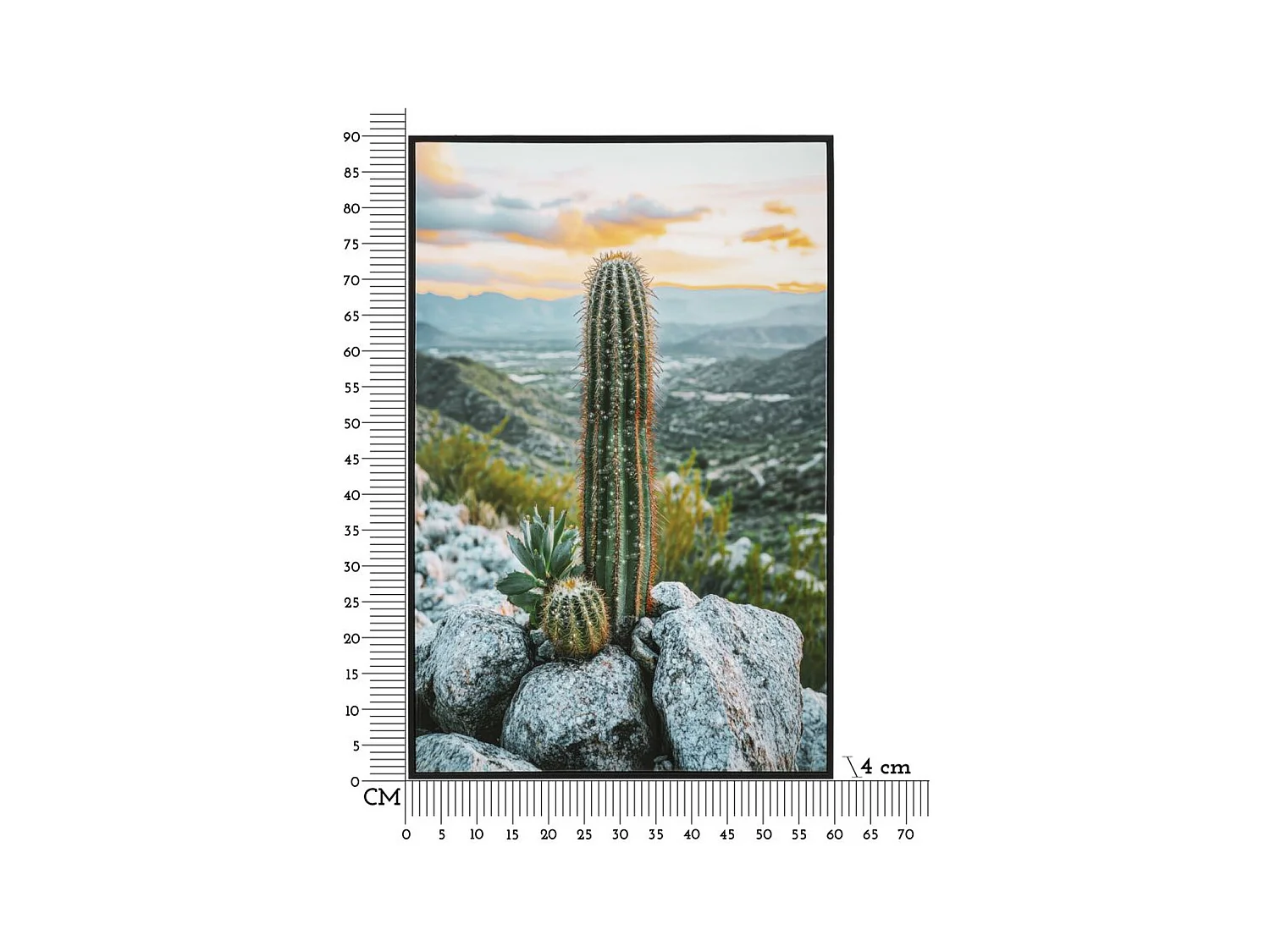 Impression sur Toile avec Cadre Cactus, Multicouleur, 60x4x90 cm, Seven Design