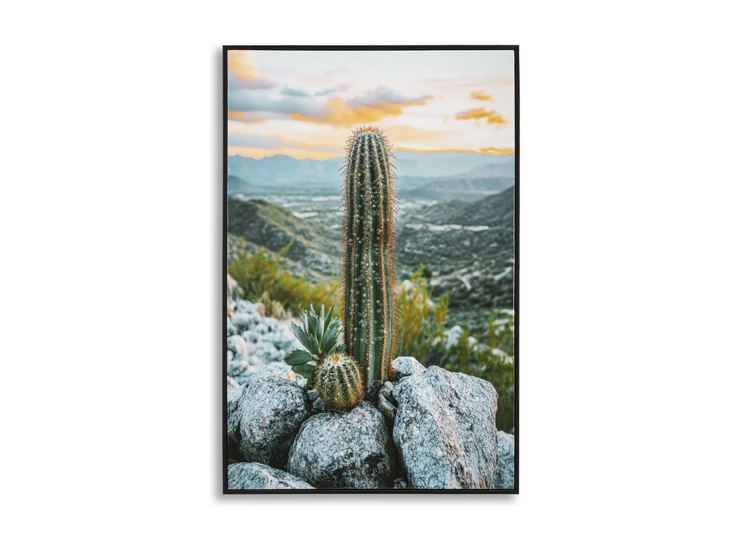 Wydruk na Płótnie z Ramą Kaktus, Wielokolorowy, 60x4x90 cm, Seven Design