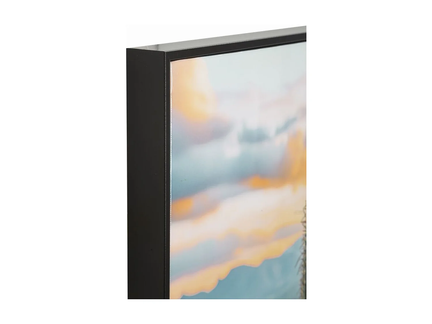 Wydruk na Płótnie z Ramą Kaktus, Wielokolorowy, 60x4x90 cm, Seven Design