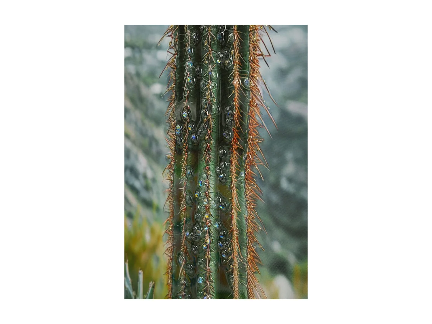 Wydruk na Płótnie z Ramą Kaktus, Wielokolorowy, 60x4x90 cm, Seven Design