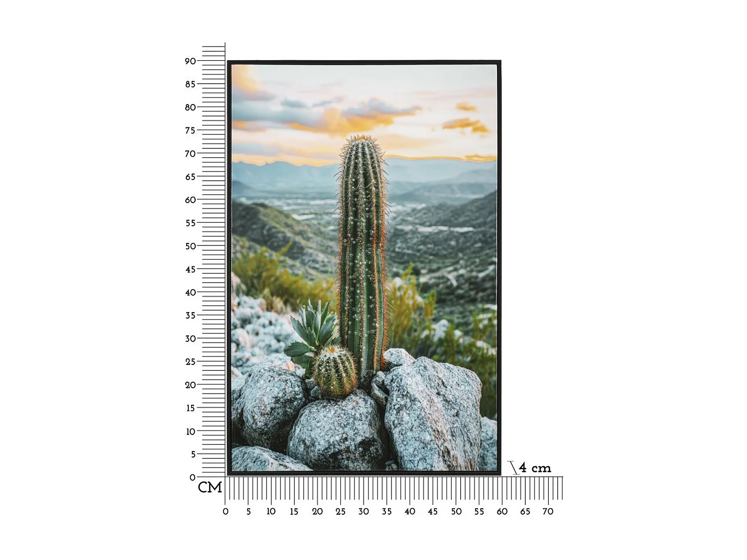 Wydruk na Płótnie z Ramą Kaktus, Wielokolorowy, 60x4x90 cm, Seven Design