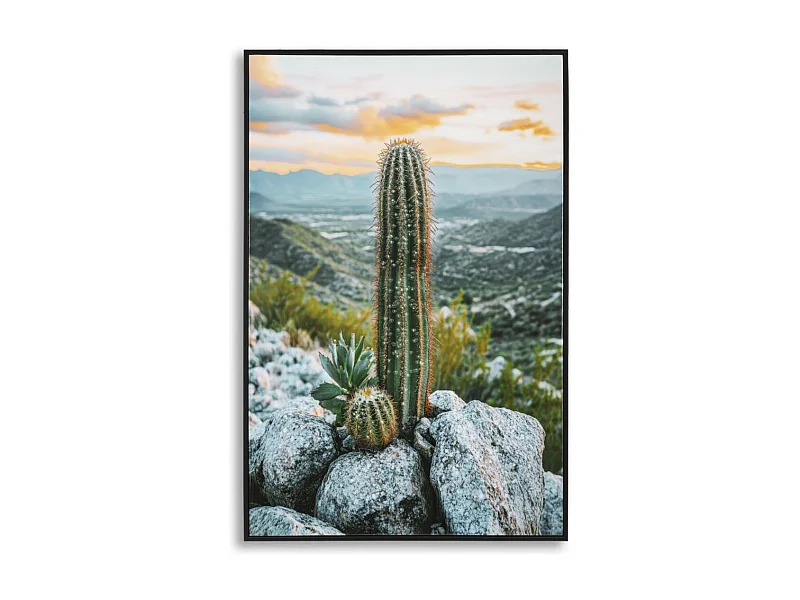 Wydruk na Płótnie z Ramą Kaktus, Wielokolorowy, 60x4x90 cm, Seven Design
