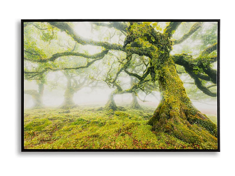 Afdrukken op Canvas met Lijst Boom 3, Veelkleurig, 90x4x60 cm, Epikasa