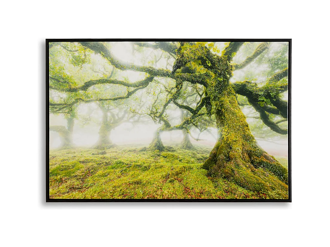 Impression sur Toile avec Cadre Arbre 3, Multicouleur, 90x4x60 cm, Seven Design