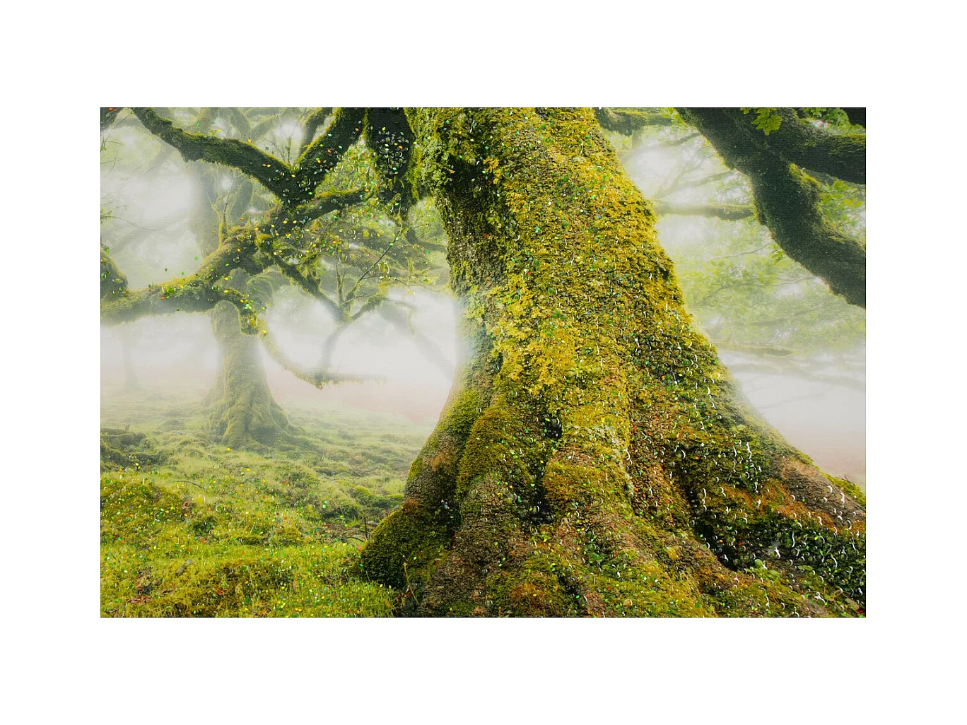 Impression sur Toile avec Cadre Arbre 3, Multicouleur, 90x4x60 cm, Seven Design