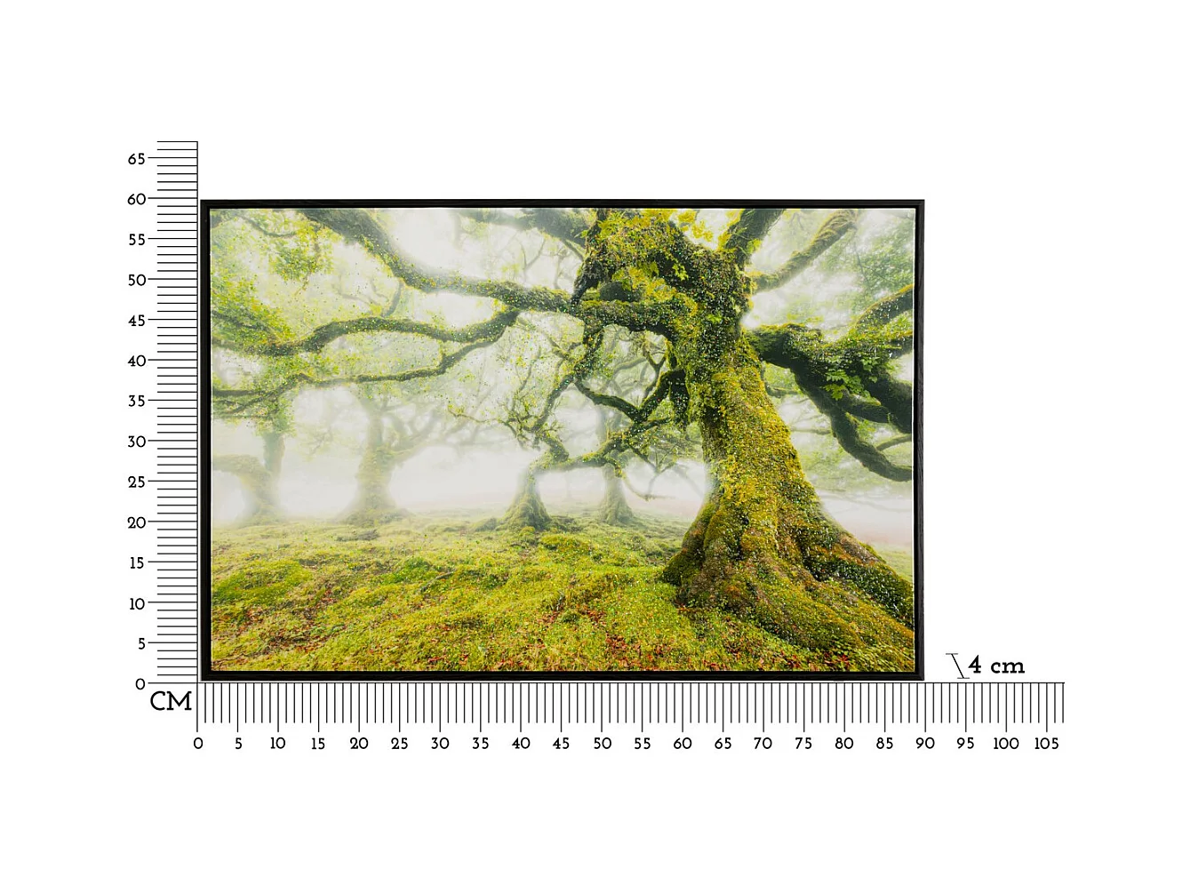 Impression sur Toile avec Cadre Arbre 3, Multicouleur, 90x4x60 cm, Seven Design