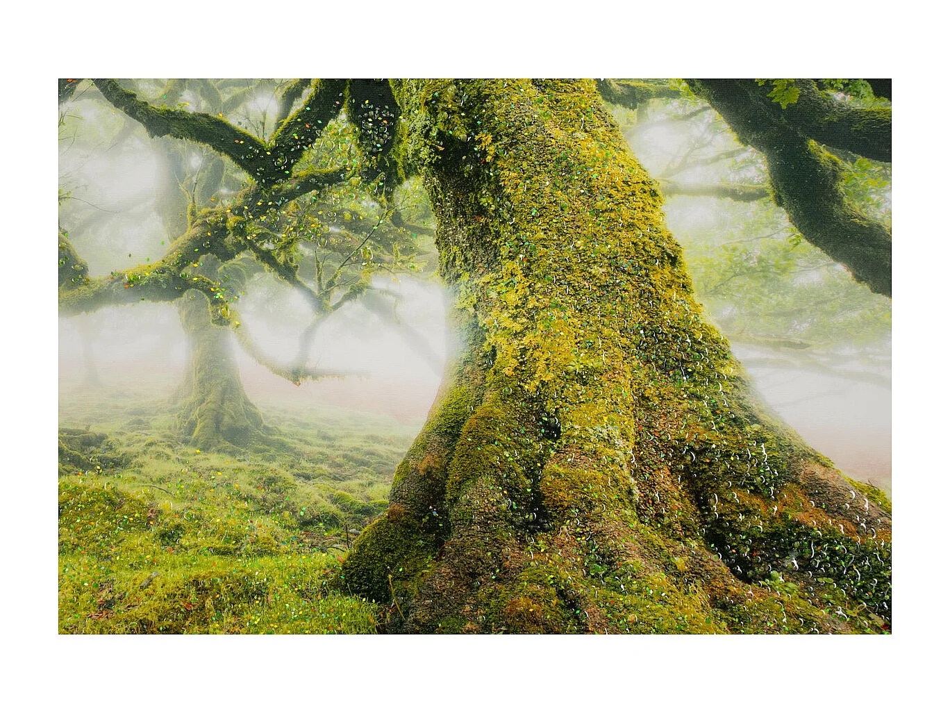 Impression sur Toile avec Cadre Arbre 3, Multicouleur, 90x4x60 cm, Seven Design