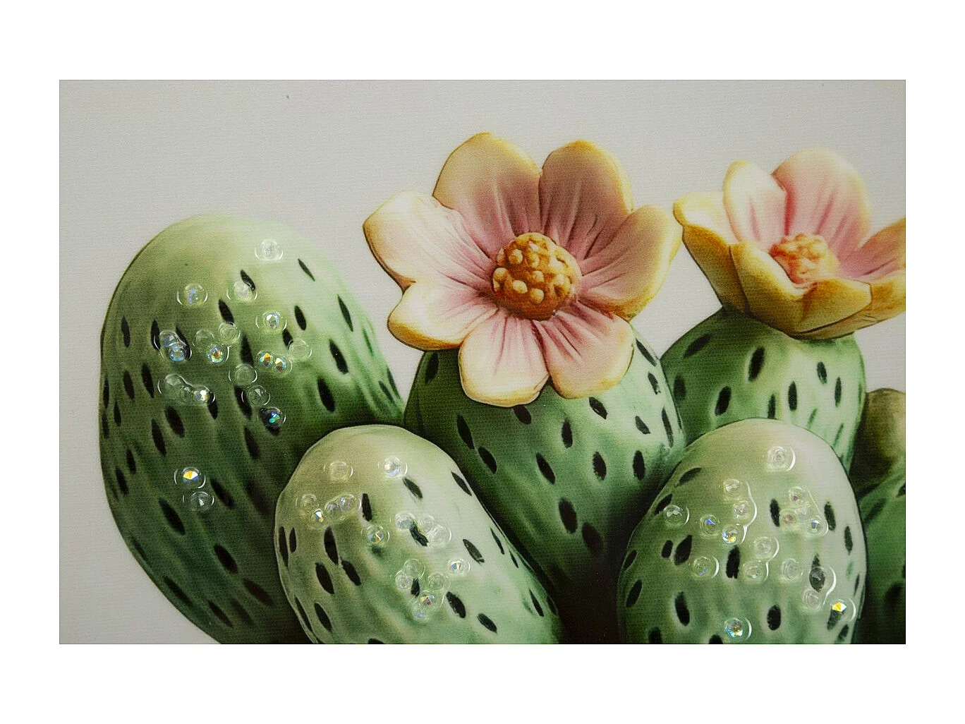 Afdrukken op Canvas met Lijst Cactus 2, Veelkleurig, 40x2,8x40 cm, Seven Design