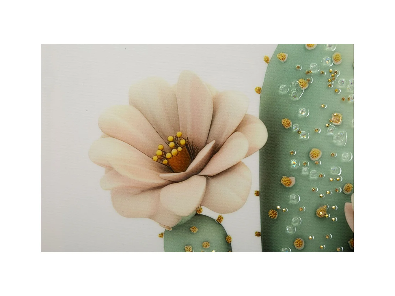 Impression sur Toile avec Cadre Cactus 5, Multicouleur, 40x2,8x40 cm, Seven Design