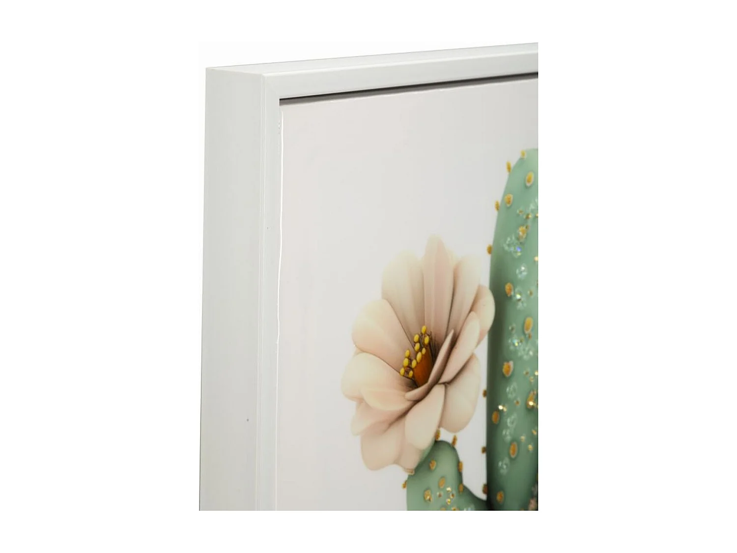 Afdrukken op Canvas met Lijst Cactus 5, Veelkleurig, 40x2,8x40 cm, Seven Design