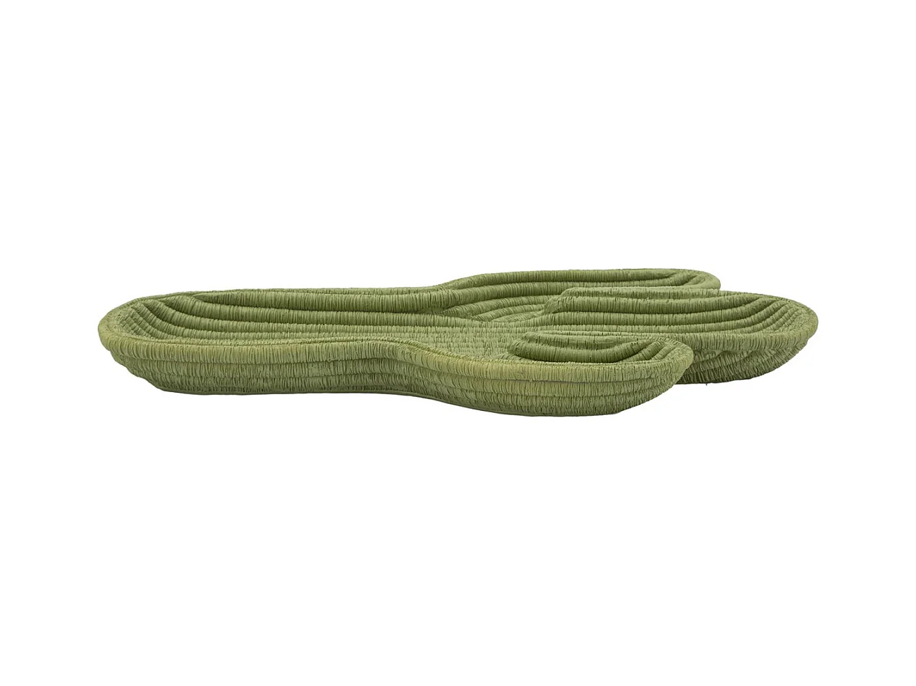 Plateau Cactus, Vert, 34x3x20 cm, Epikasa