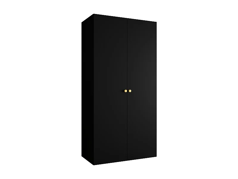 Drehtürenschrank Parma 1 202/100/52 2-türig (Schwarz)