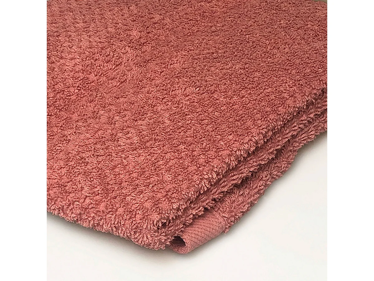 Lot 2 serviettes de toilette 50x90 coton éponge