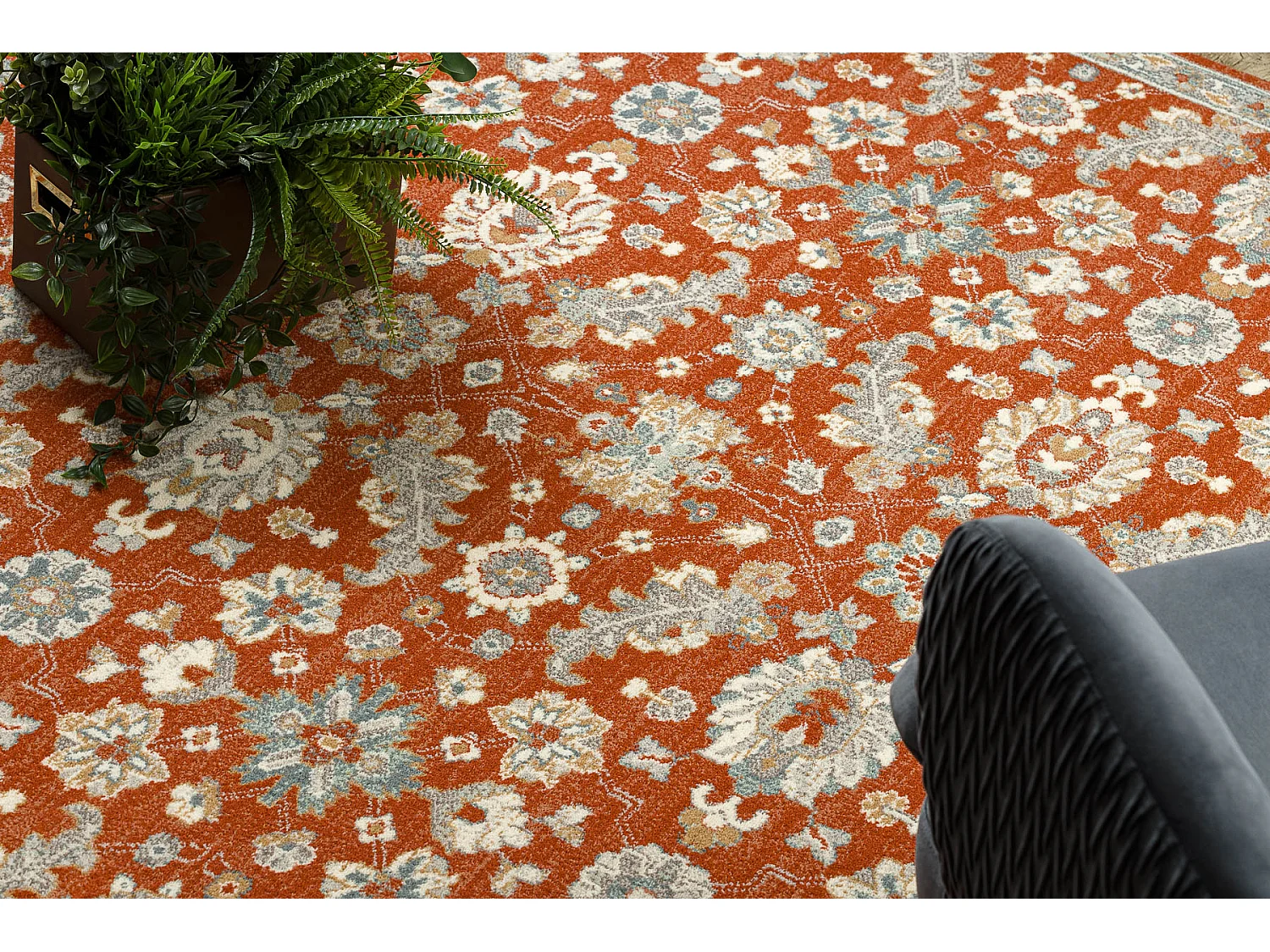 Tappeto in lana SOHO 477.07.LA300 OSTA - Fiori, cornice, naturale terr 200x300 cm