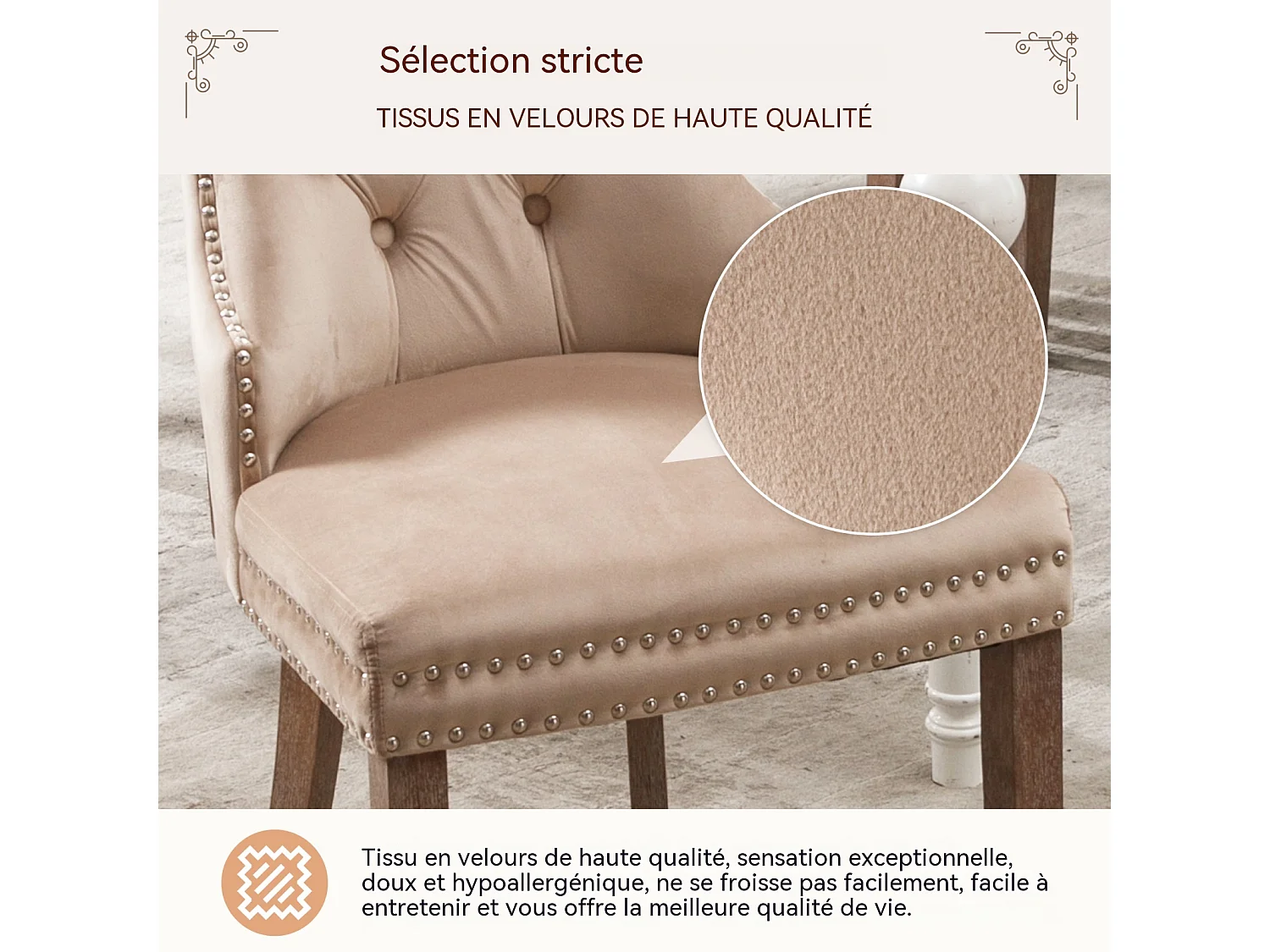 Set di 6 Sedie da Pranzo in Velluto Beige con Gambe in Quercia Chiara e Decorazioni con Borchie, Comfort ed Eleganza