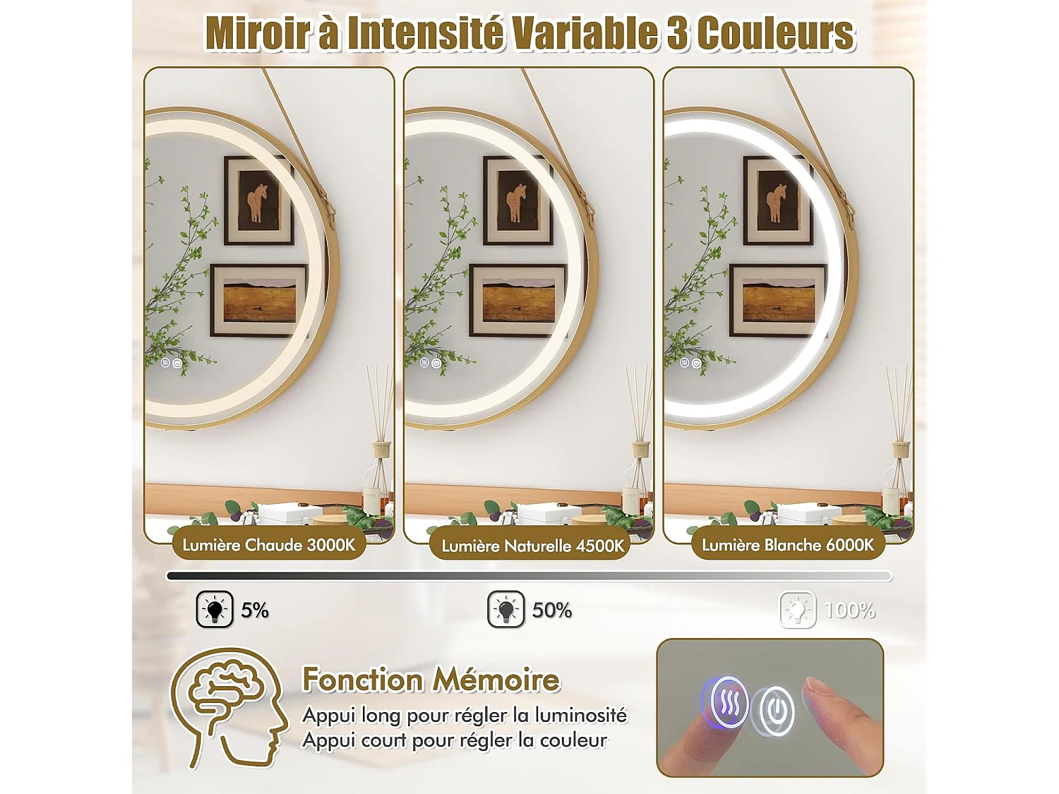 Miroir Mural de Salle de Bain Miroir Circulaire 60 x 60 cm avec Sangle de Suspension Lumière LED 3 Couleurs Fonction Mémoire, Argent