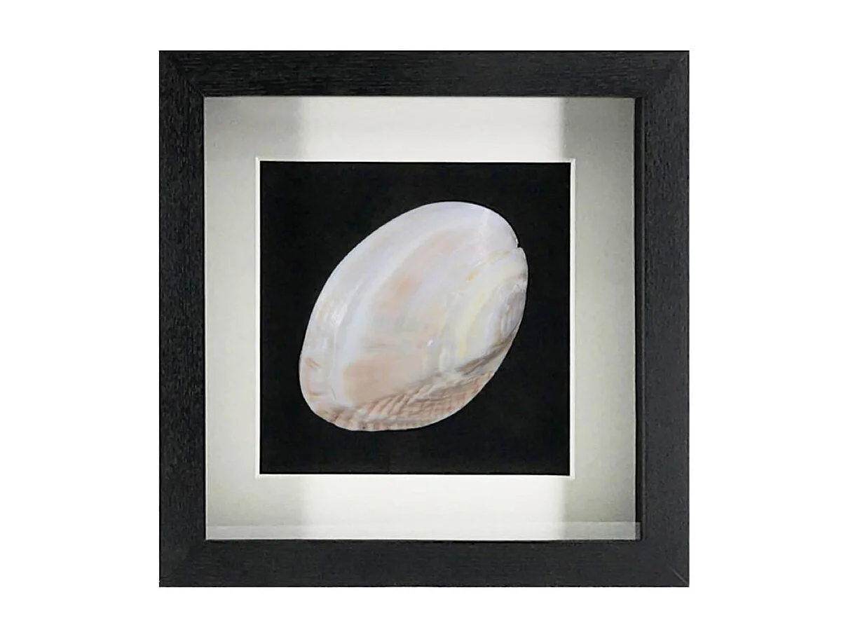 Tableau nacre Nacre Noir - Décoration d'Autrefois