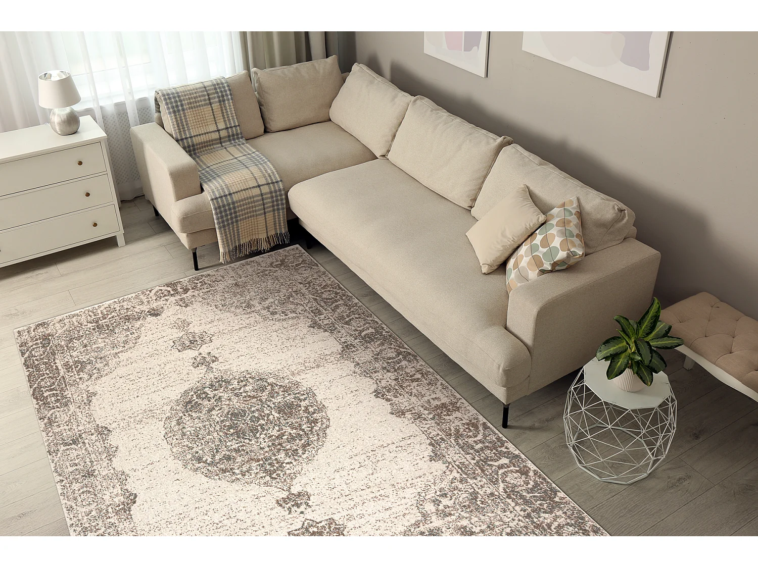 Tapis en laine ABBY 486.24.LA110 OSTA Ornement, cadre classique gris / 200x300 cm