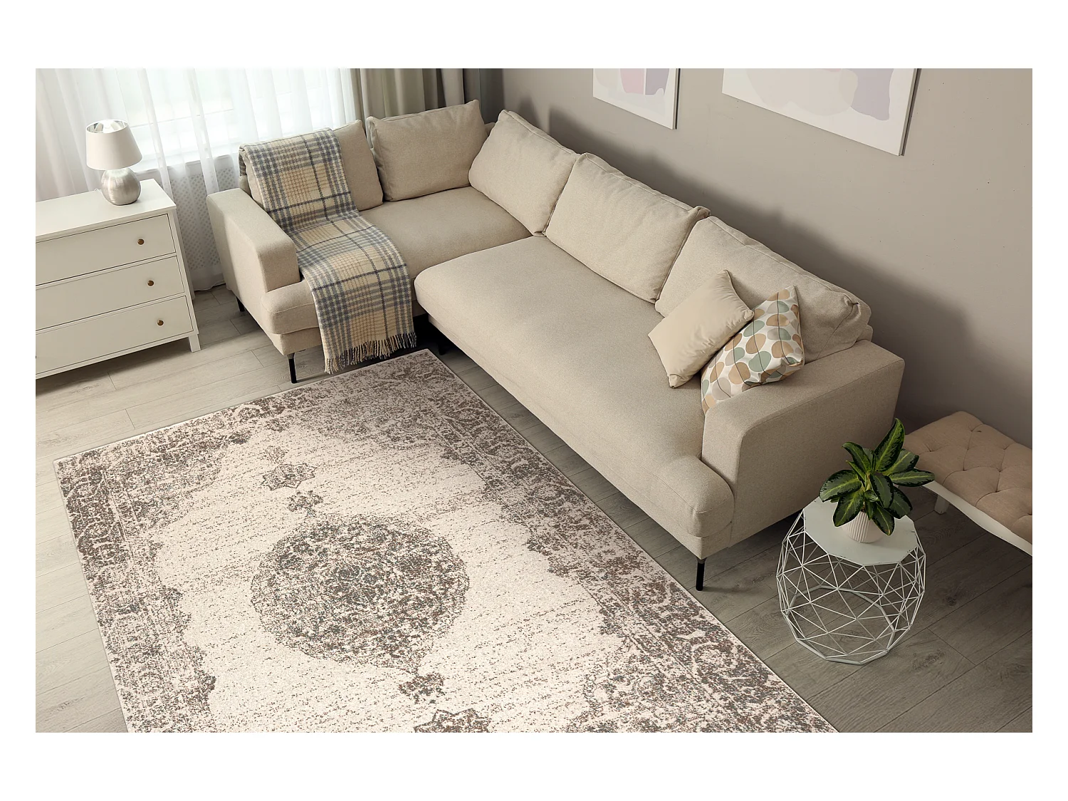 Tapis en laine ABBY 486.24.LA110 OSTA Ornement, cadre classique gris / 120x170 cm