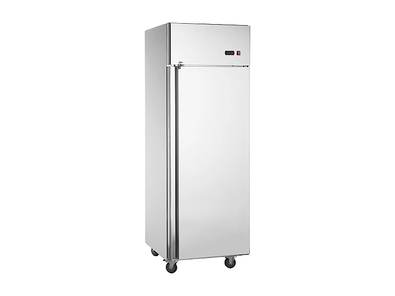Congélateur Commercial SucceBuy de 570 L, Vertical, 1 Porte