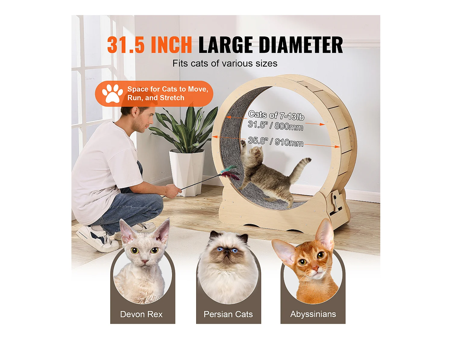 Roue d'Exercice pour Chat, SucceBuy Cat Exercise Wheel Grand Tapis Roulant d'Intérieur pour Chat 91 cm