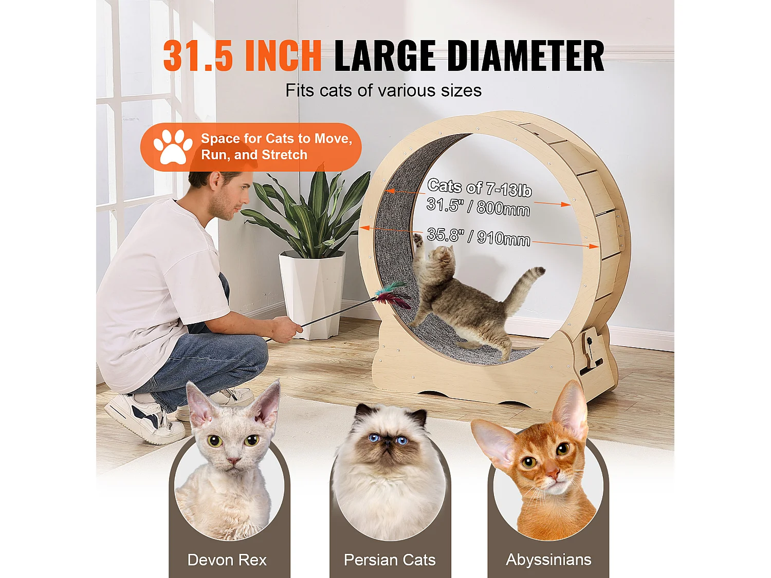 Roue d'Exercice pour Chat, SucceBuy Cat Exercise Wheel Grand Tapis Roulant d'Intérieur pour Chat 91 cm